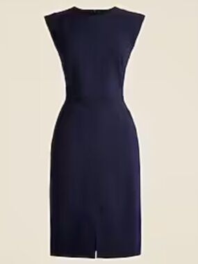 J. Crew Resume Dress